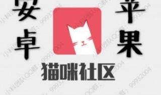 猫咪app成人抖音